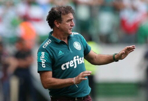 El análisis de Pablo Petreñas: S.E.Palmeiras